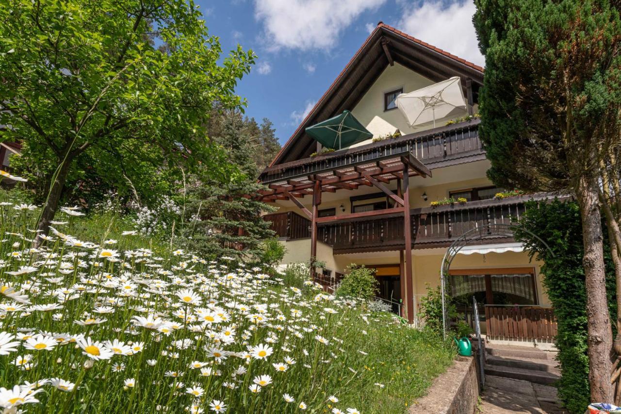 Haus Wiesenttal Waischenfeld Dış mekan fotoğraf
